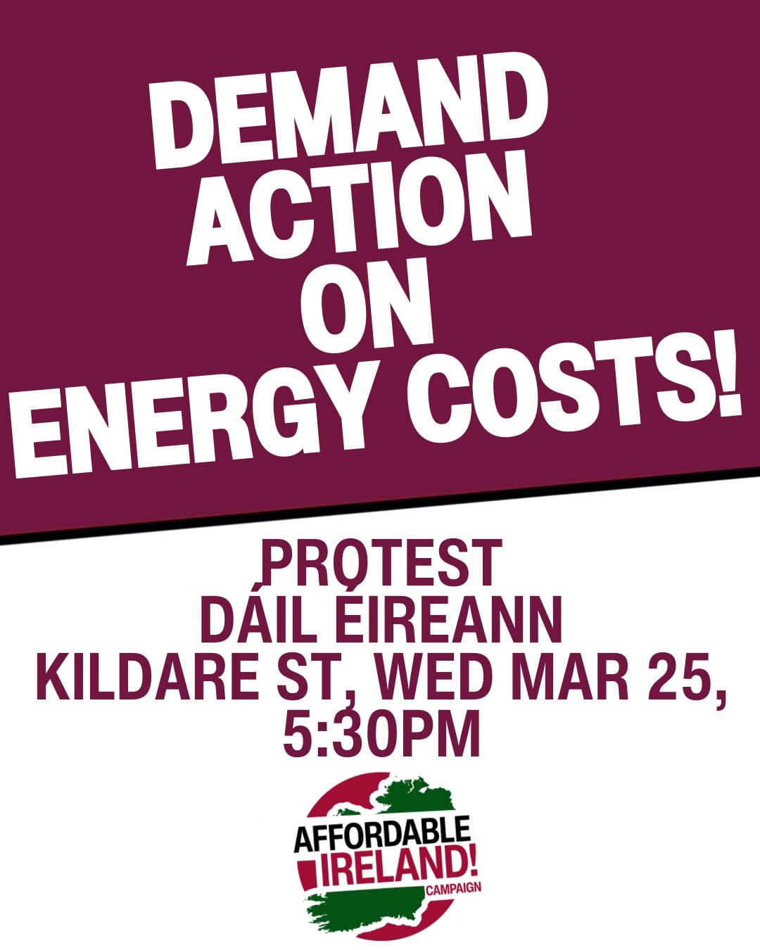 Demand Action on Energy Costs - Protest Dáil Éireann Kildare St Wednesday March 25 5:30PM - Affordable Ireland Campaign