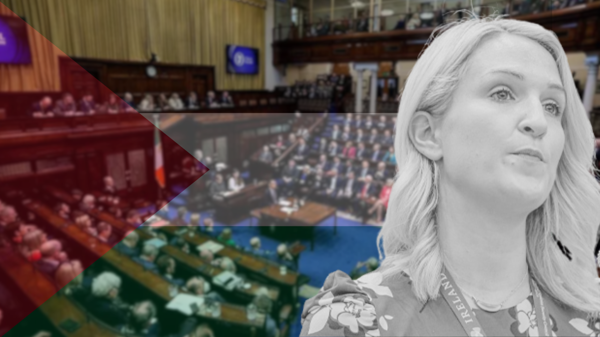 Helen McEntee in black and white in front of a Palestinian flag over laying an photo of the Dail in session.