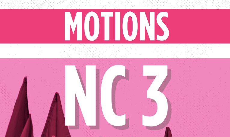 Screen shot of top of Document cover. It says Motions NC 3 and flags are seen in the background.