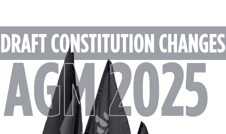 Draft Constitution and Proposed Changes (AGM 2025)