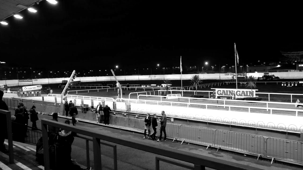 Paul Murphy Welcomes New Zealand's New Greyhound Racing Ban