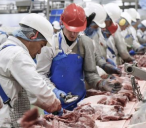 Meat Plant Workers